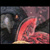 :iconnorthern-raven: