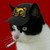 :iconnortherncold: