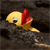 :iconnorticacr: