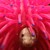 :iconnortoriousjoy: