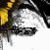 :iconnorulla: