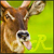 :iconnorwish: