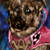 :iconNoscovaco: