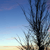 :iconnose-dive: