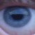 :iconnosengam: