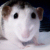 :iconnosenose92: