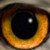 :iconnot-beef: