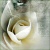 :iconNot-Lost-Just-Alone: