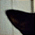 :iconnot-mia-u: