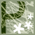 :iconnot-really: