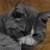 :iconnot-unfriendly: