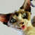 :iconnot13: