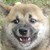 :iconnotanoob: