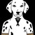 :iconnotcroutons:
