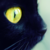 :iconNotebookLullaby: