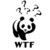 :iconnoteingang: