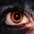 :iconnoth1ngface: