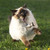:iconnothing-but-fluff: