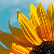 :iconnothing-sweet: