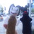 :iconnothing00azrael:
