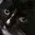 :iconnothingspecialx9: