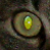 :iconnotmyfault13: