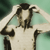 :iconNotnothing: