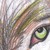 :iconnotorius-quack: