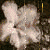 :iconnotsocleveranymore: