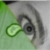 :iconnotsocool80: