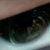 :iconnotysarkh: