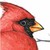 :iconnou-faro: