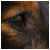 :iconnoupp: