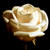 :iconnouveau-massiel:
