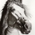 :iconnovaartworks: