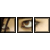 :iconnovamute: