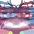 :iconnovananindron:
