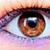 :iconnovarr: