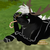 :iconnovashiro: