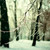NovemberMoonlight :iconnovembermoonlight: