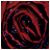 :iconnovemberpoetry: