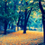 :iconnovemberrainechoes: