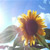 :iconnovemberwind: