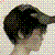 :iconnovolic: