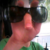 :iconnovumnomen: