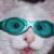 :iconnow-here-at-nowhere:
