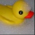 :iconnow-what-will-happen: