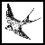 :iconnox-swallow: