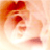 :iconnox-xface: