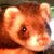 :iconnoxil: